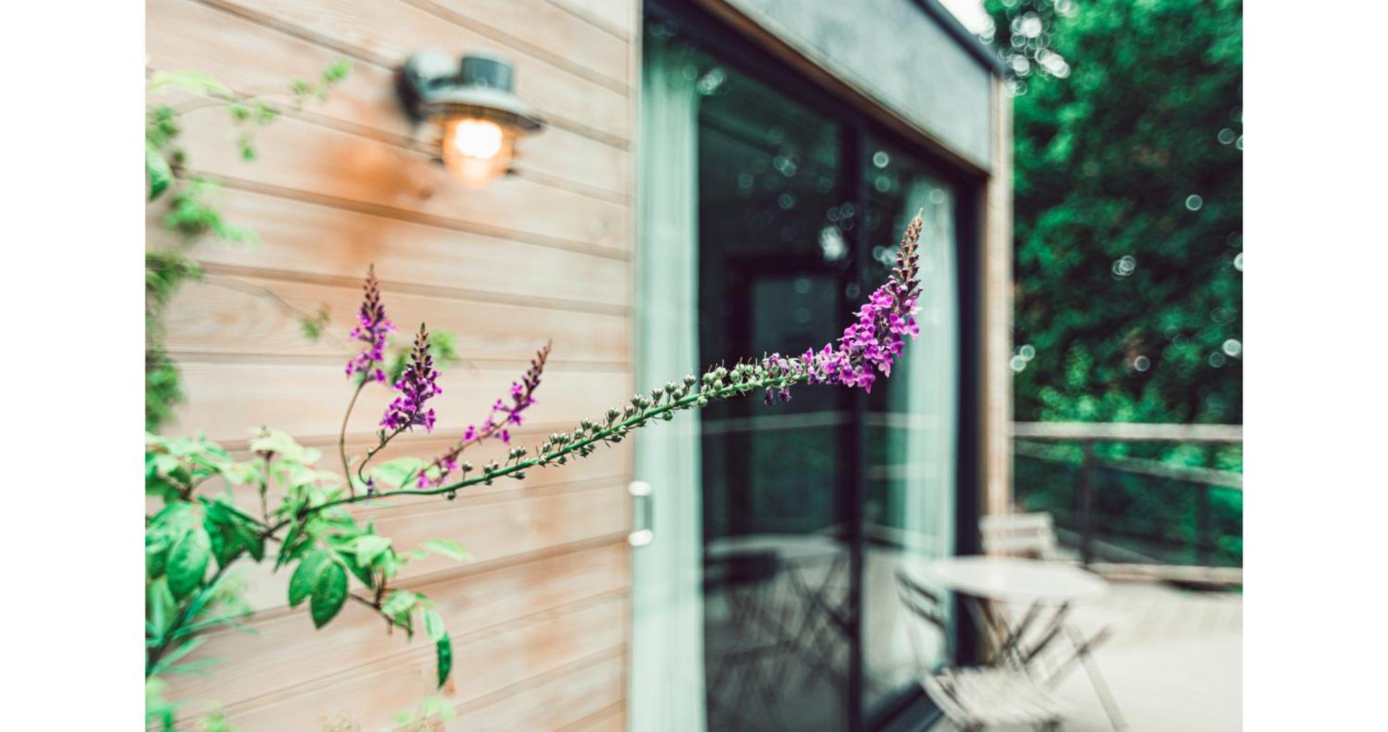 Clophill Eco Lodges Luaran gambar